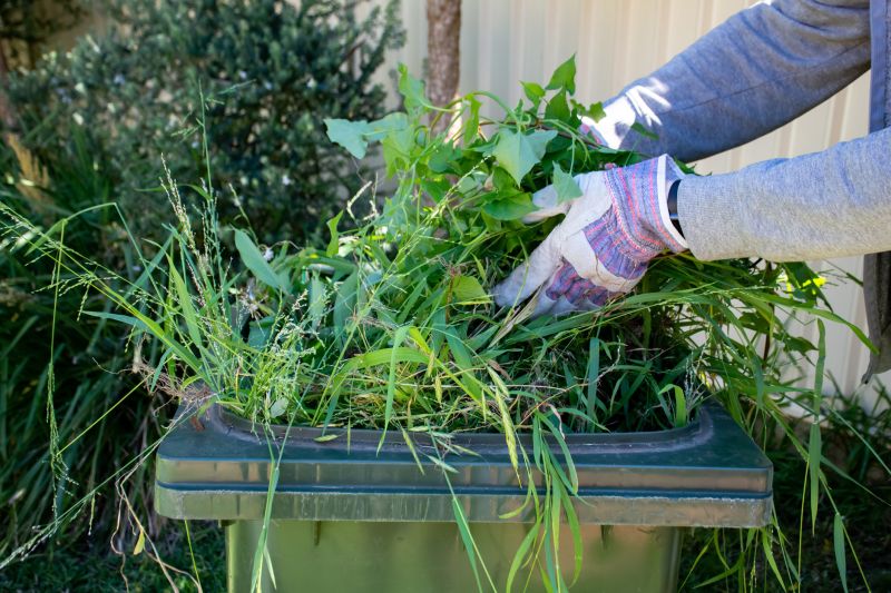 Waste Water Cleanup